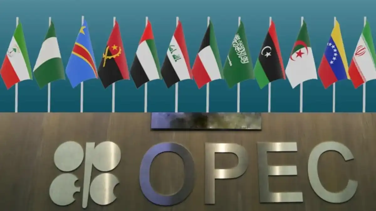 الإمارات تعلن قرار الخروج من “أوبك” و”أوبك +” بداية من 1 ماي المقبل